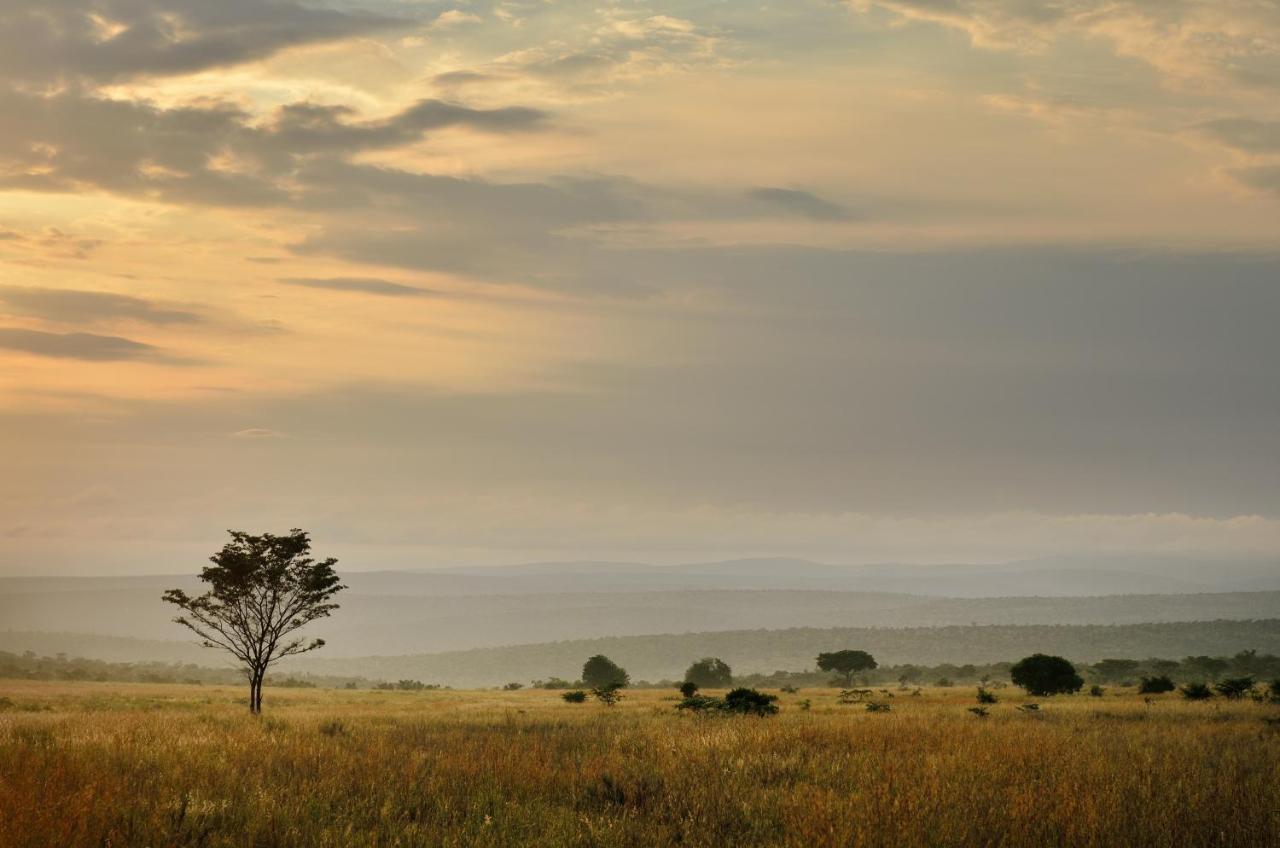 Makweti Safari Lodge Welgevonden Ngoại thất bức ảnh