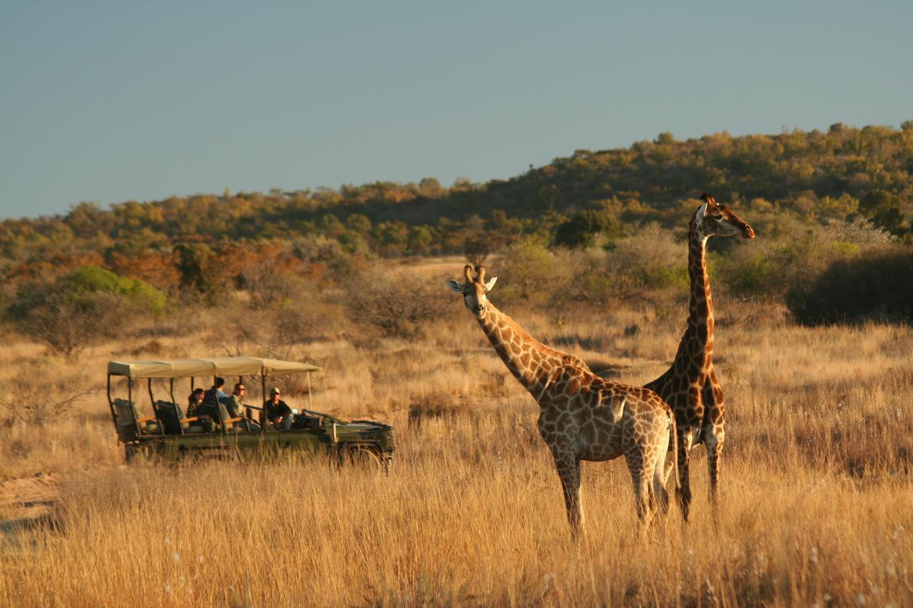 Makweti Safari Lodge Welgevonden Ngoại thất bức ảnh