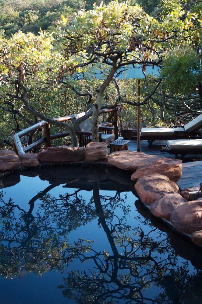 Makweti Safari Lodge Welgevonden Ngoại thất bức ảnh