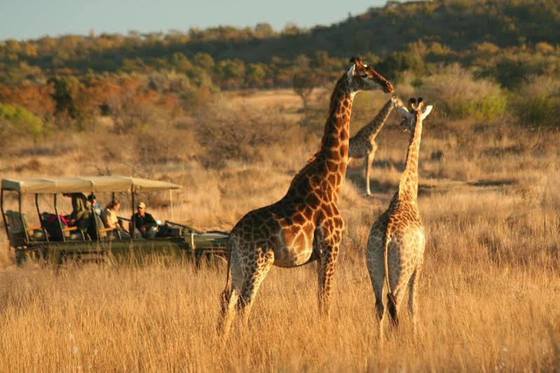 Makweti Safari Lodge Welgevonden Ngoại thất bức ảnh