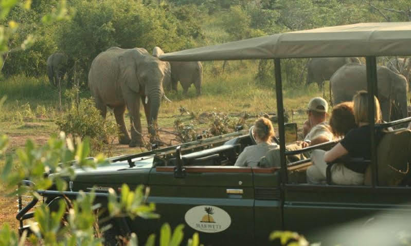 Makweti Safari Lodge Welgevonden Ngoại thất bức ảnh